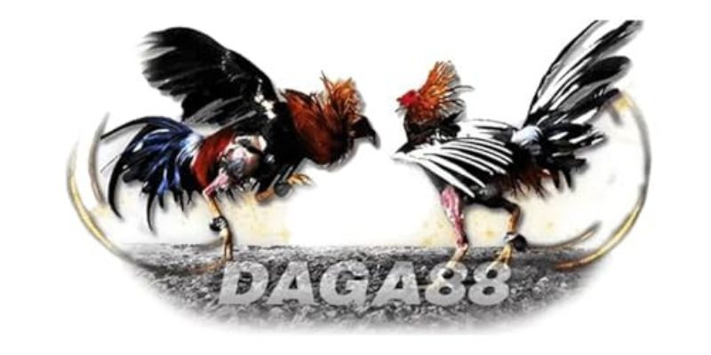 Daga 88 - Trải Nghiệm Đỉnh Cao Đá Gà Trực Tuyến Tại Việt Nam